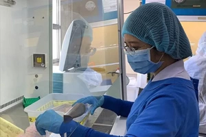 Cảnh giác với viêm gan cấp chưa rõ nguyên nhân ở trẻ em