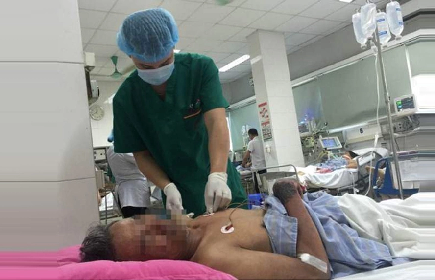 Cảnh giác với bệnh liên cầu khuẩn lợn