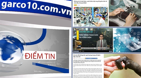 Điểm tin ngày 11/10/2022