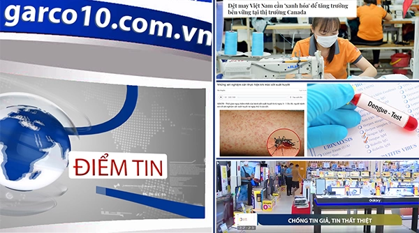 Điểm tin ngày 08/11/2022