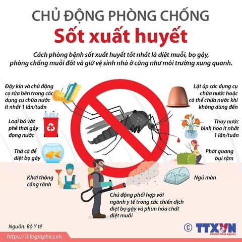 Yêu cầu thường xuyên giám sát chỉ số bọ gậy, muỗi truyền bệnh sốt xuất huyết