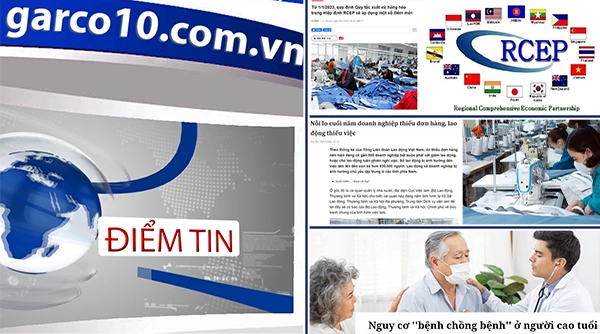 Điểm tin ngày 29/11/2022