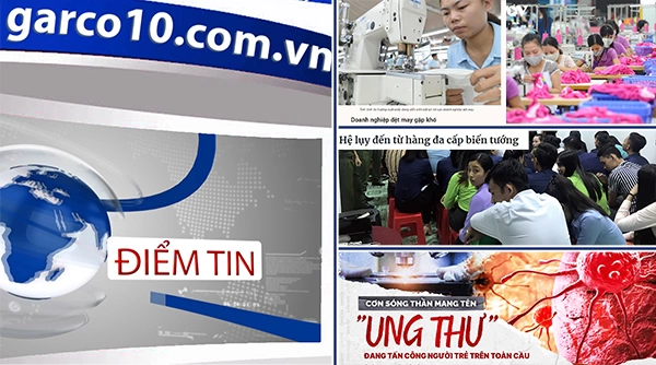 Điểm tin ngày 04/11/2022
