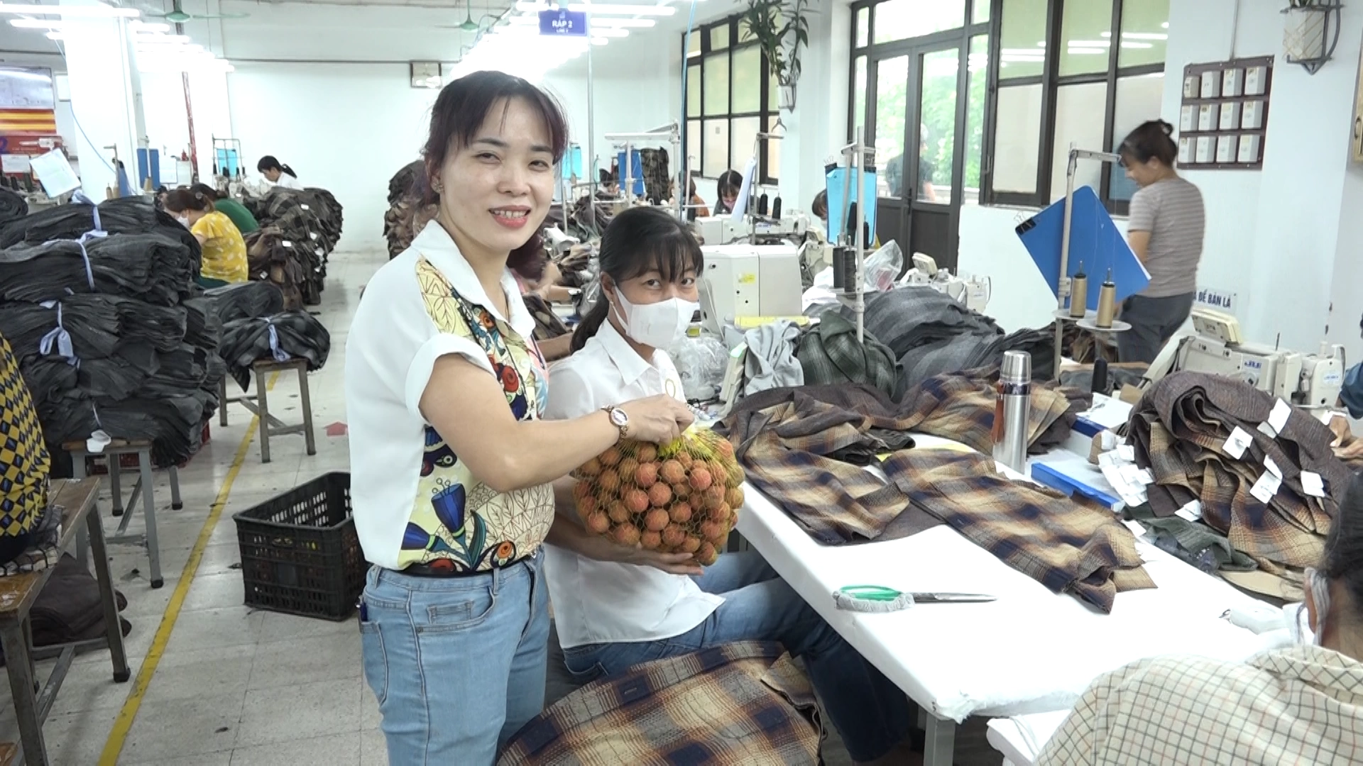 Công đoàn TCT May 10 triển khai chương trình “Giúp nông dân huyện Lục Ngạn tiêu thụ vải thiều 2023”
