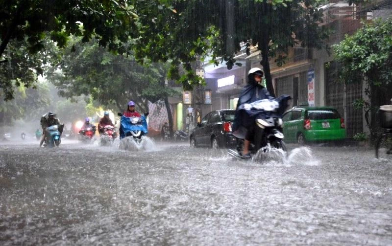Dự báo thời tiết ngày 1/7: Hà Nội ngày mưa rào, cục bộ mưa to,